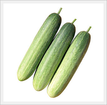 Cucumber Seeds  Made in Korea
